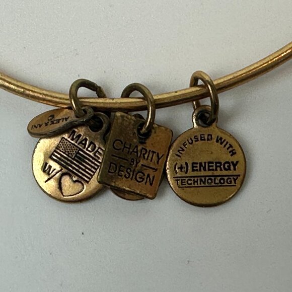 2 - Alex And Ani Gold Finish Bangle Bracelet Quill Feather & Stand Up To Cancer - Picture 8 of 8